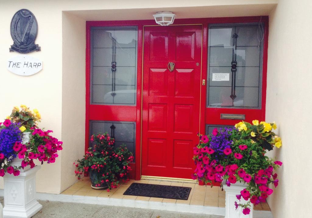 Bed and Breakfast The Harp Cill Airne Esterno foto